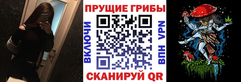 Псилоцибиновые грибы Psilocybine cubensis  наркошоп  Гдов 